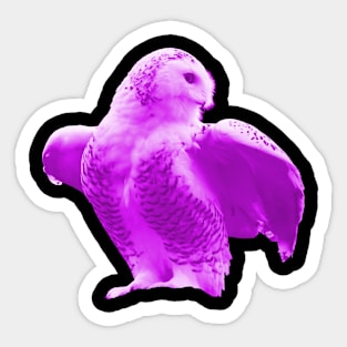 Owl Purple Sticker